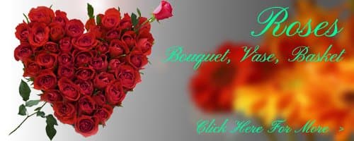 Birthday Roses to Ujjain