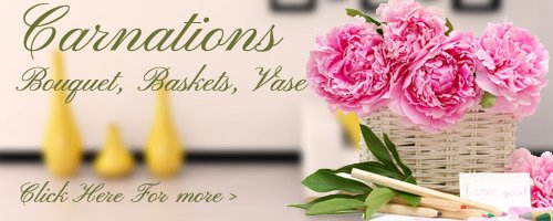 Carnations Flowers to Kolhapur