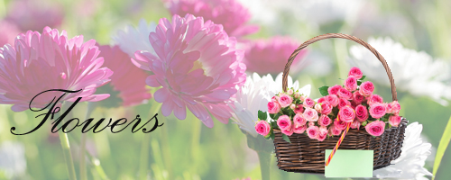 Flowers to Hubli
