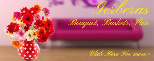 Gerbera Flowers to Kolhapur