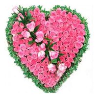 Valentines Day Flowers to India : Pink Roses Heart