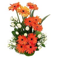 Flower to India : Get Well Soon Flowers to India