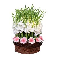 Get Well Soon Flowers to India
