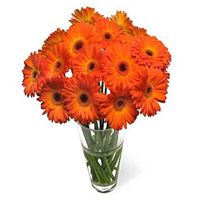 Same Day Flowers to India