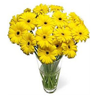 Beautiful Flowers to India