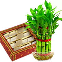 Send Personalized Gifts to India