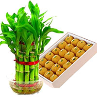 Same Day Gifts to India