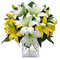 Flowers to India Midnight Delivery