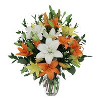 Send Flowers to India