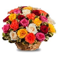 Roses Delivery in India 