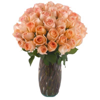Peach Flowers to India