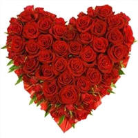 Send Flowers to India