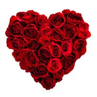 Valentines Day Flowers to India -  Valentine's Day FLowers