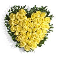 Same Day Flower Delivery in Bharuch
