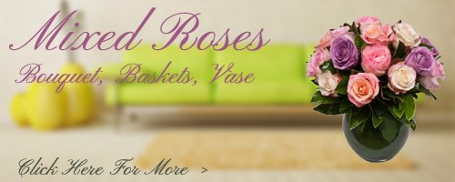 Mixed Roses to Kolhapur
