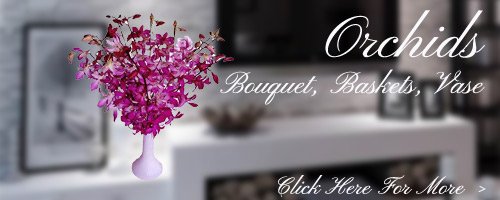 Orchids Flowers to Kolhapur