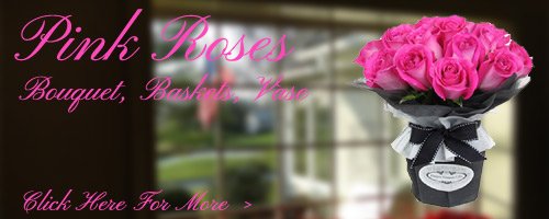 Pink Roses to Kolhapur