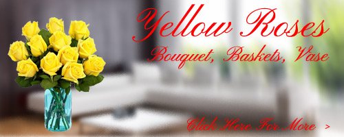 Yellow Roses to Kolhapur